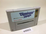Wondrous Magic SNES Super Famicom Japan - SI5823