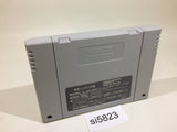 Wondrous Magic SNES Super Famicom Japan - SI5823