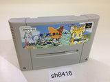 Asameshimae Nyanko SNES Super Famicom Japan - SH8416