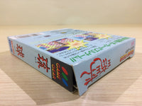 DK6842 Ryuu Kyuu BOXED Sega Game Gear Japan