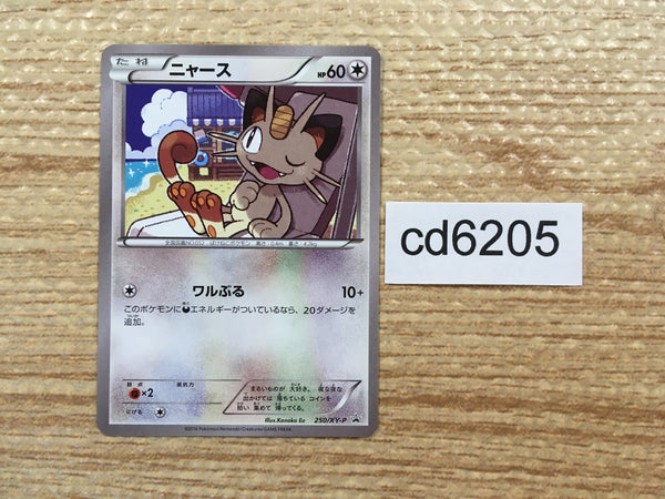 CD6205 Meowth PROMO PROMO 250/XY-P Pokemon Card TCG Japan