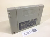 Dai Bakushou Jinsei Gekijou Ooedo Nikki SNES Super Famicom Japan - SJ7311