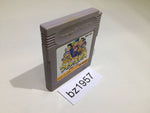 BZ1957 Winner's Horse Keiba GameBoy Game Boy Japan