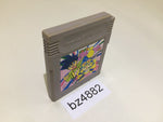 BZ4882 Magical Taru Ruto GameBoy Game Boy Japan
