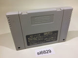 Gan Gan GanChan SNES Super Famicom Japan - SI6829