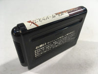 DK4968 Shining And The Darkness BOXED Mega Drive Genesis Japan