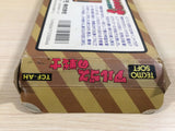 UE5115 Rygar Argus no Senshi BOXED NES Famicom Japan