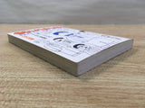 AAA1057 Tsuribaka Nisshi Vol.4 Japanese Manga