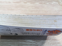 AAA1057 Tsuribaka Nisshi Vol.4 Japanese Manga