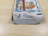 UE5657 Final Fantasy 2 BOXED NES Famicom Japan