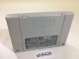 The Mask SNES Super Famicom Japan - SH8426