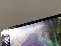 CE8887 Arceus V PROMO PROMO267/S-P Pokemon Card TCG Japan