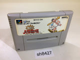 Dai Bakushou Jinsei Gekijou SNES Super Famicom Japan - SH8427