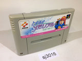 Tokimeki Memorial Densetsu no Ki no Shita de SNES Super Famicom Japan - SJ3016