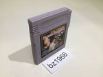BZ1966 Master Karateka GameBoy Game Boy Japan