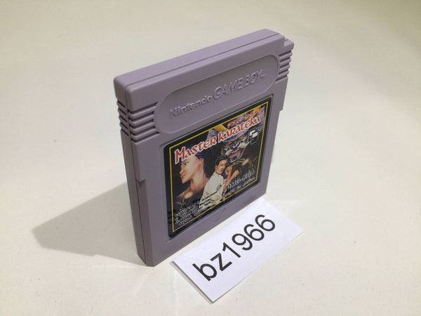 BZ1966 Master Karateka GameBoy Game Boy Japan