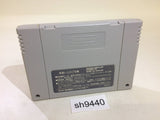 Daruma Doujou Dharma Doujyo SNES Super Famicom Japan - SH9440