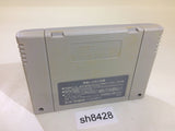 Akagawa Jirou Majotachi no Nemuri SNES Super Famicom Japan - SH8428