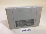 Dai Bakushou Jinsei Gekijou SNES Super Famicom Japan - SH9110