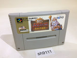 Dai Bakushou Jinsei Gekijou Ooedo Nikki SNES Super Famicom Japan - SH9111