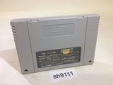 Dai Bakushou Jinsei Gekijou Ooedo Nikki SNES Super Famicom Japan - SH9111