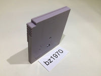 BZ1970 Dragon Tail Nail 'N Scale GameBoy Game Boy Japan