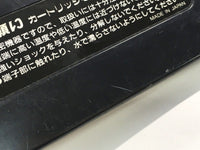 DK8233 Phantasy Star II Kaerazaru Toki no Owari ni Mega Drive Genesis Japan