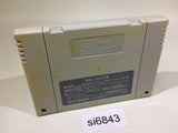 Populous SNES Super Famicom Japan - SI6843