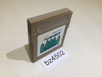 BZ4502 Amazing Penguin Osawagase! Penguin Boy GameBoy Game Boy Japan