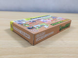 UE6448 Yoshi's UniversalGravitation Topsy Turvy BOXED GameBoy Advance Japan