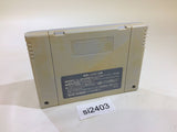 Populous SNES Super Famicom Japan - SI2403