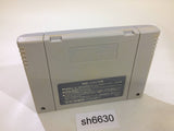 Chibi Marukochan Harikiri 365 Nichi no Maki SNES Super Famicom Japan - SH6630