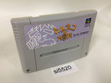 Torneco no Daibouken Fushigi no Dungeon SNES Super Famicom Japan - SI5520