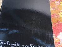 AAA1288 Demon Slayer: Kimetsu no Yaiba Vol.21 Japanese Manga