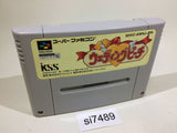 Wedding Peach SNES Super Famicom Japan - SI7489