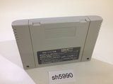 Poko Nyan! Henpokorin Adventure SNES Super Famicom Japan - SH5990