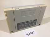 Dai Bakushou Jinsei Gekijou SNES Super Famicom Japan - SJ2051