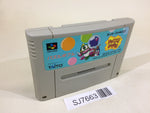 SJ7663 Puzzle Bobble SNES Super Famicom Japan