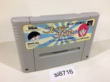 Super Zugan Mahjong SNES Super Famicom Japan - SI8716