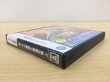 Layton Kyouju to Akuma no Hako BOXED Nintendo DS Japan - UE7301