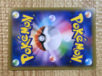 CE6892 Dubwool V SR S1a 076/070 Pokemon Card TCG Japan