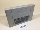 SJ5308 Mickey no Magical Adventure SNES Super Famicom Japan