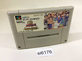 Dai Bakushou Jinsei Gekijou SNES Super Famicom Japan - SI6176