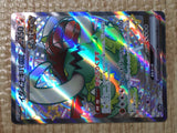 CE7893 Squawkabilly ex SSR sv4a 337/190 Pokemon Card TCG Japan