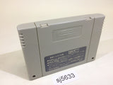 sj5633 Super Fire Pro Wrestling Special SNES Super Famicom Japan