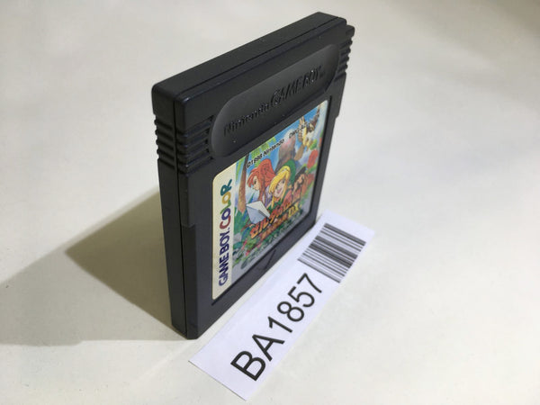 BA1857 The Legend of Zelda Link's Awakening DX GameBoy Game Boy Japan