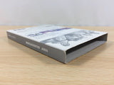 1080 Avalanche Silverstorm BOXED GameCube Japan - FH3002