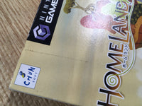 FH6367 Homeland BOXED GameCube Japan