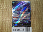 CE8495 Suicune V SAR s12a 215/172 Pokemon Card TCG Japan