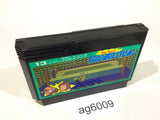 Tag Team Pro Wrestling NES Famicom Japan - AG6009